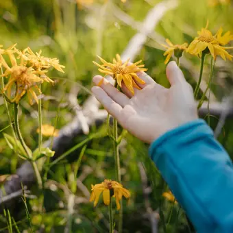 Alta Badia Sustainability by Alex Moling3